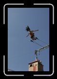 l'essenciel 004 * 3504 x 2336 * (1.74MB)